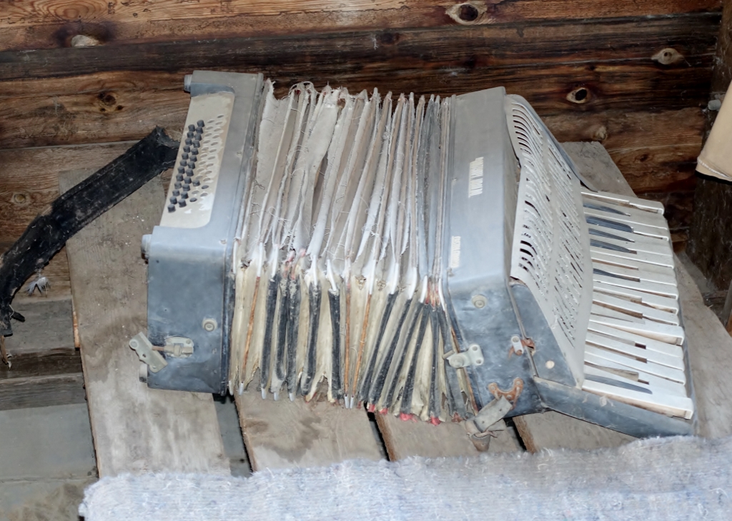 detainee accordion