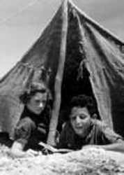 Summer Camp