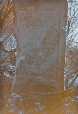photograph