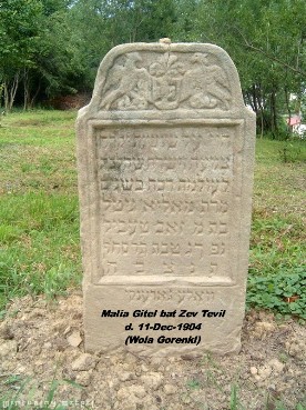 photograph