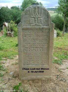 photograph