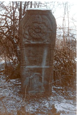 photograph