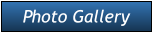 Photo Gallery Photo Gallery