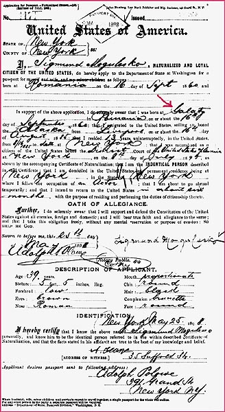 Mogulesko passport application