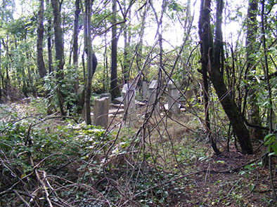 cemetery at the
                        village edge