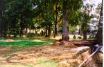 View of Dagda cemetery 1998 (c 70 Kb)