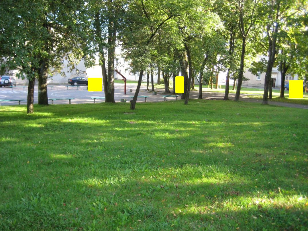 basketballcourt