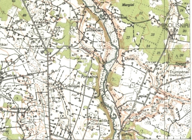 vaiteliai