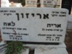 Arie Arizon