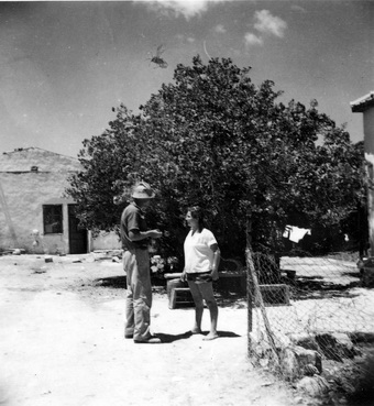 Izkovich Estate