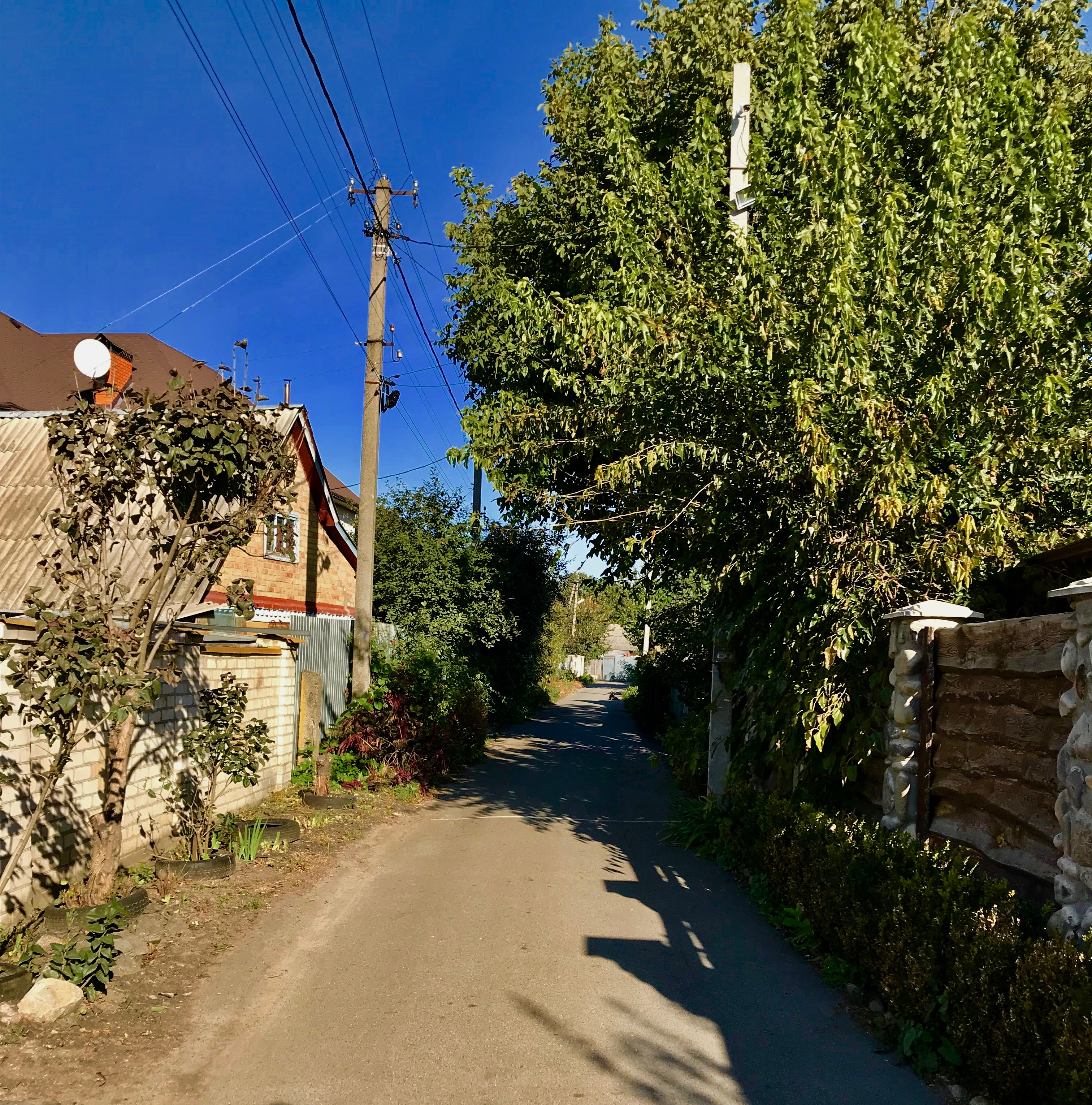 lanes