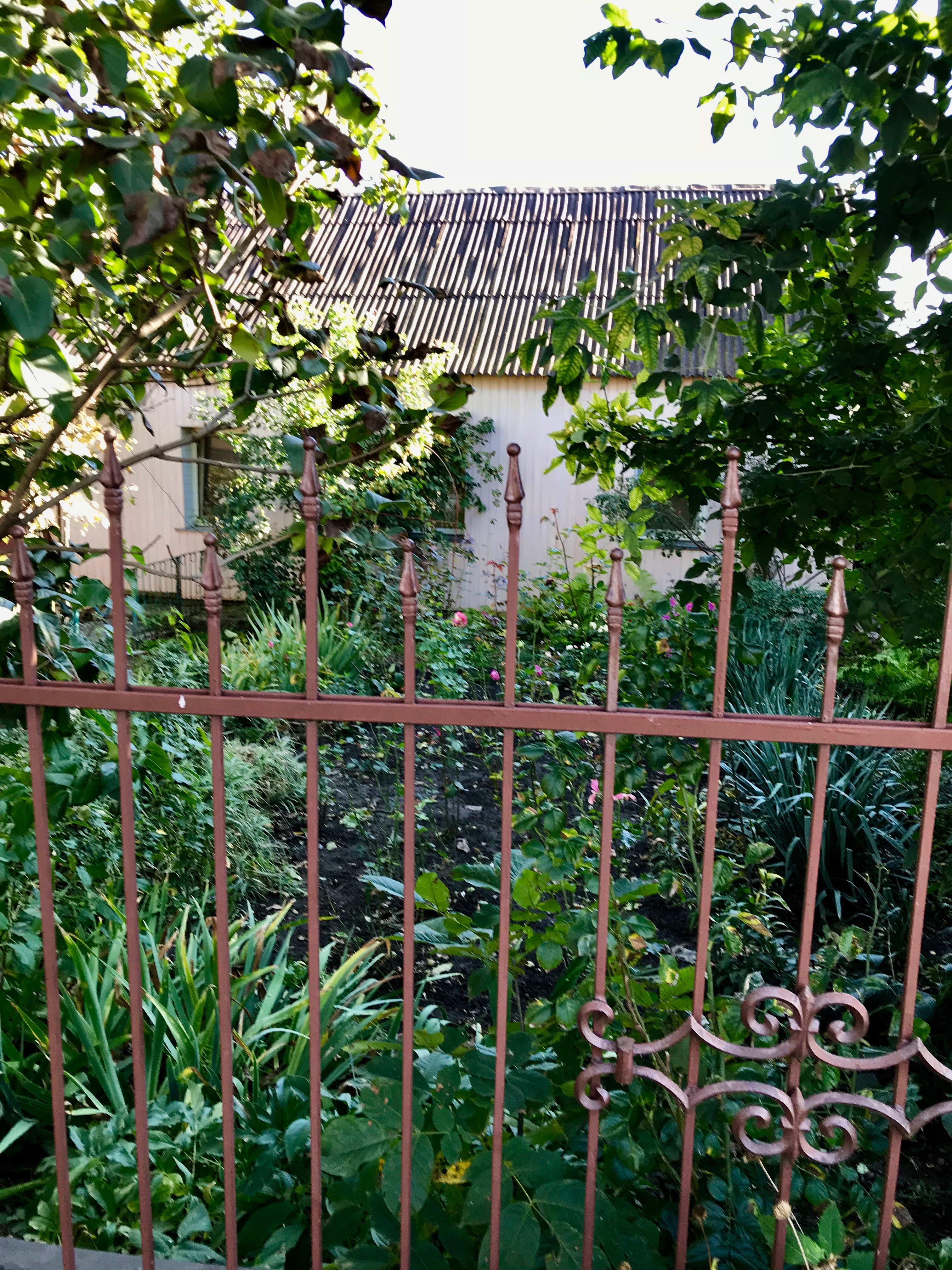 garden