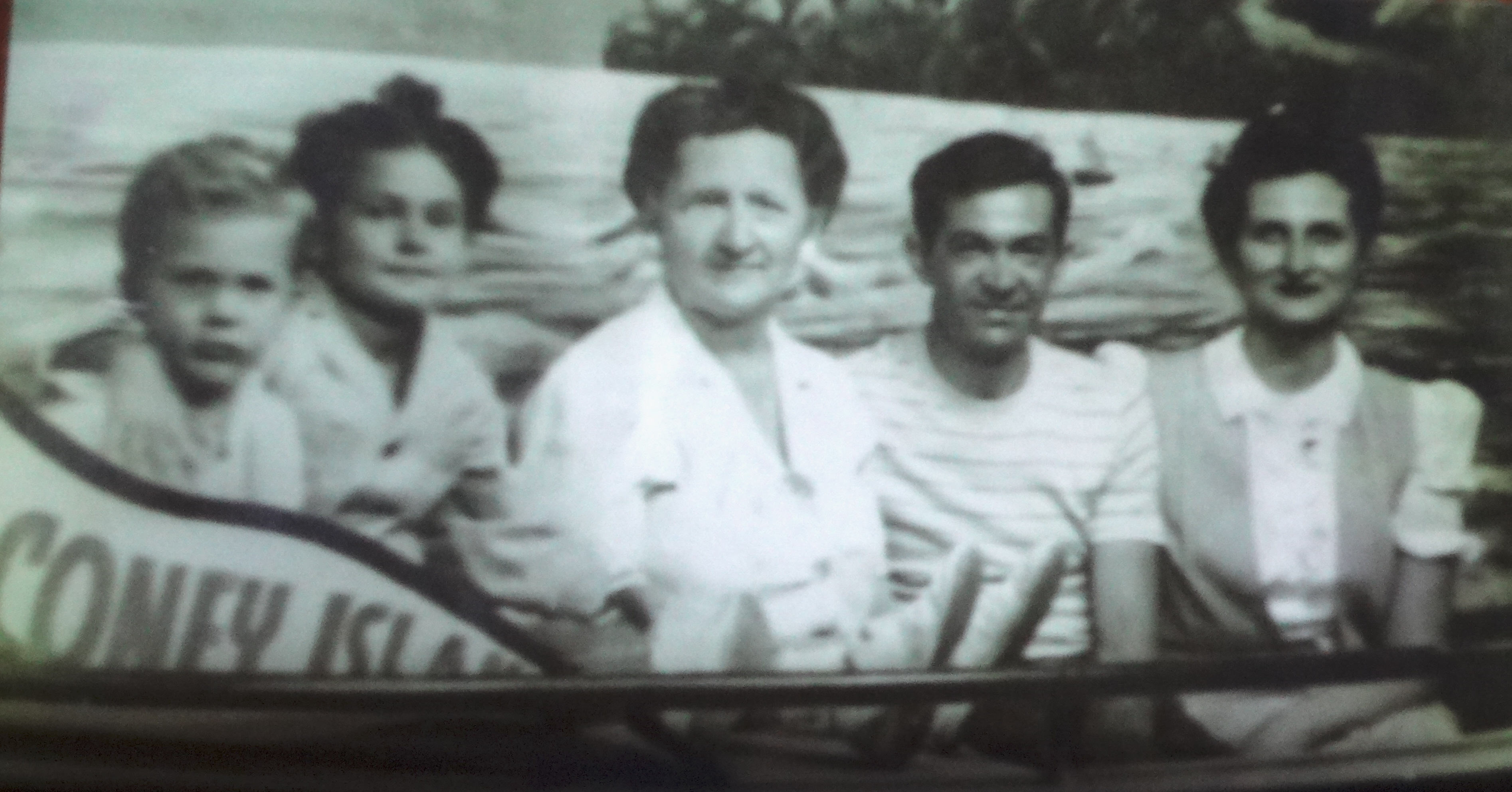 gizella
                  family