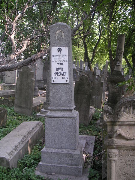 David Marcovici