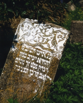 Our Teacher Yehuda