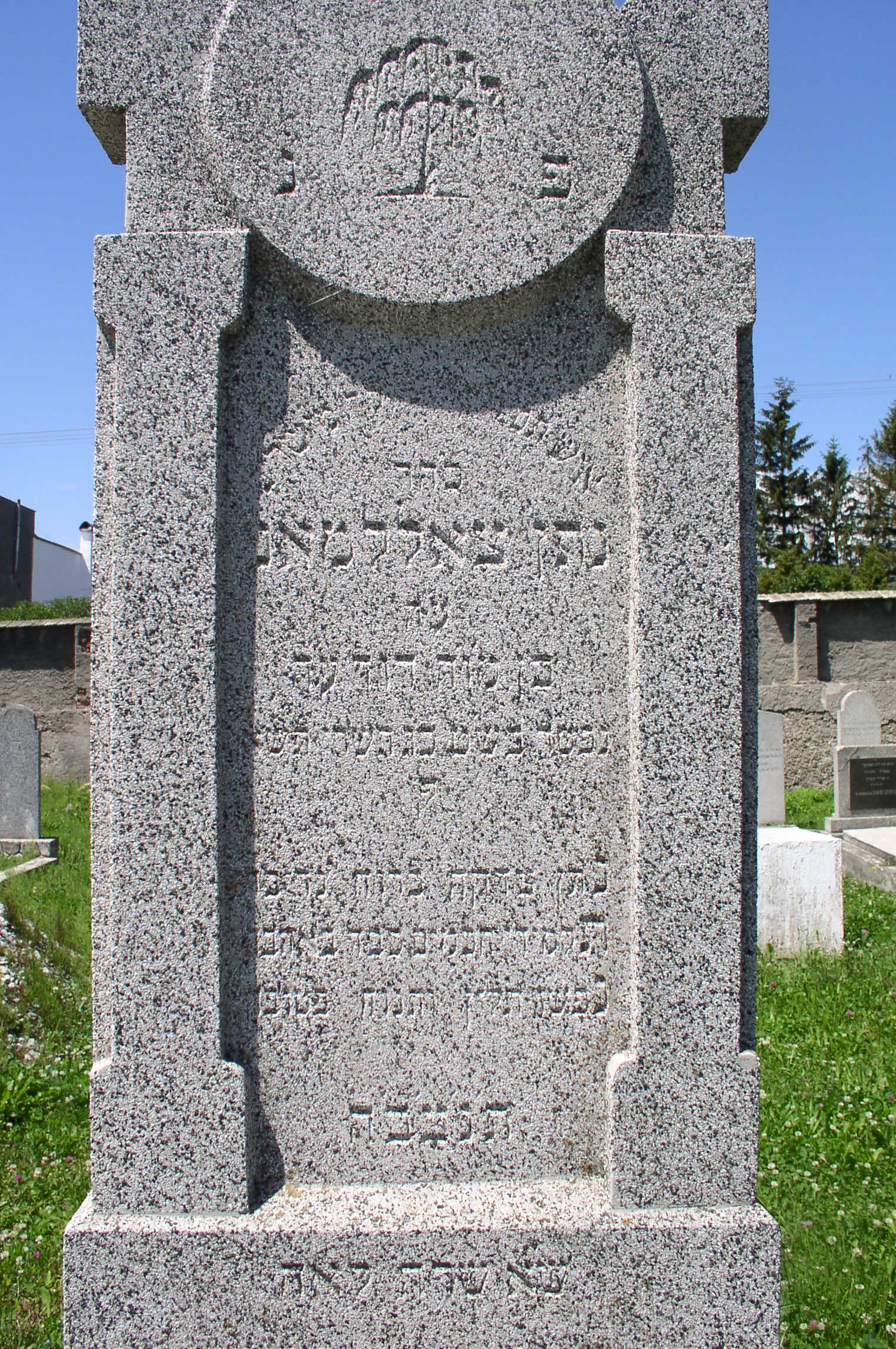 ZOLLMAN_Natan