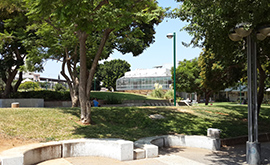 Beit Sapir Auditorium
