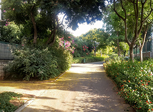 Kdoshei Kahir Park