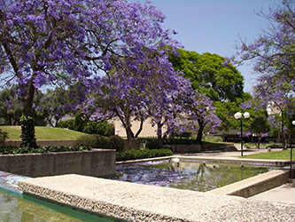 Kfar Saba Spring