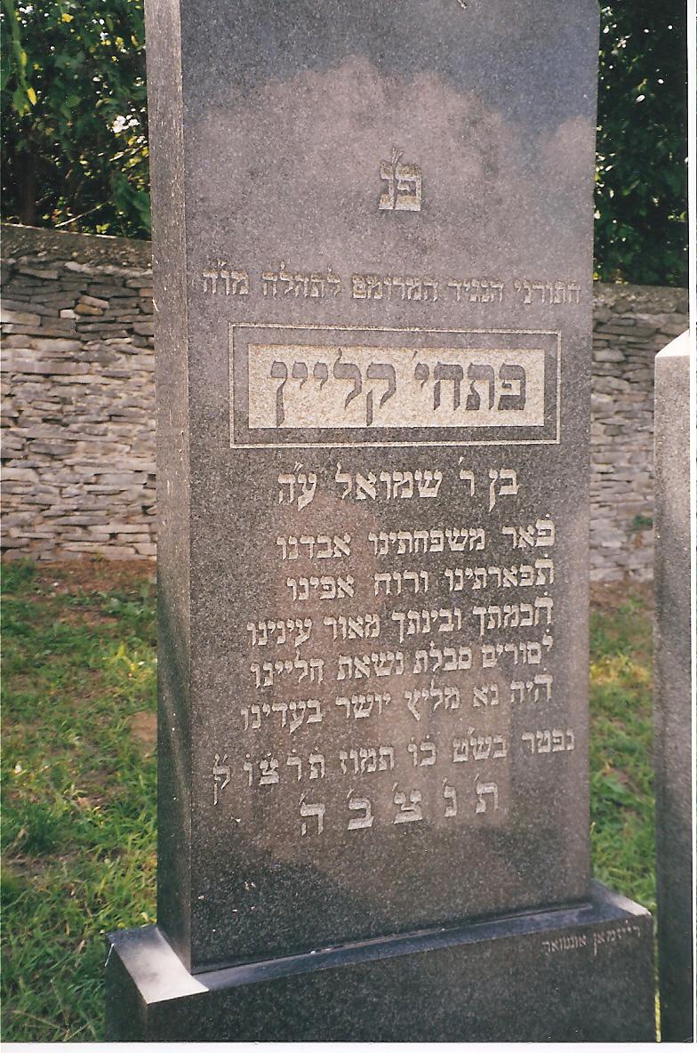 kleinpetachya.jpg