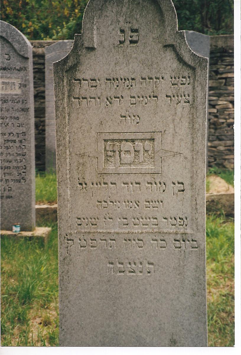 kleinyosefsonofdavid.jpg