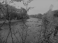 Prut River near
Leova
