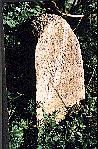 pic 19
