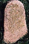 pic30