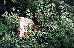 pic 13