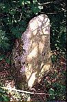 pic 14