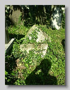 P5230460
