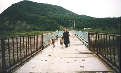 Woman with Goats