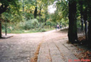 Zamek
