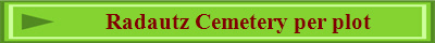 Radautz Cemetery per plot