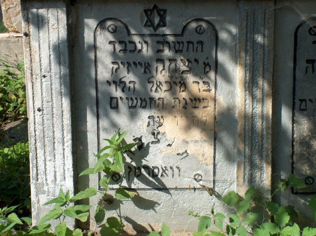 Photograph