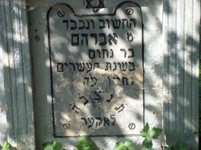 Photograph