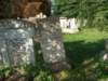 Photo Number 9