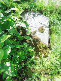 Rakhiv-tombstone-264