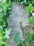 Rakhiv-tombstone-415