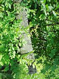 Rakhiv-tombstone-639
