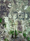 Rakhiv-tombstone-647