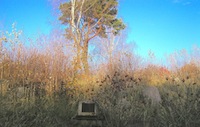 Cemetery View