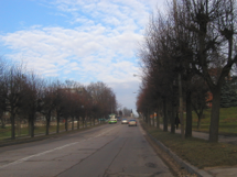 visit/visit 12