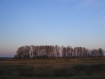 visit/visit 61