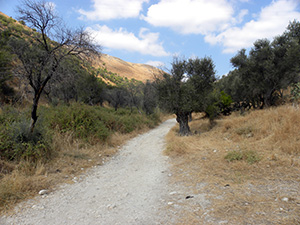 Rosh Pina - Safed Road