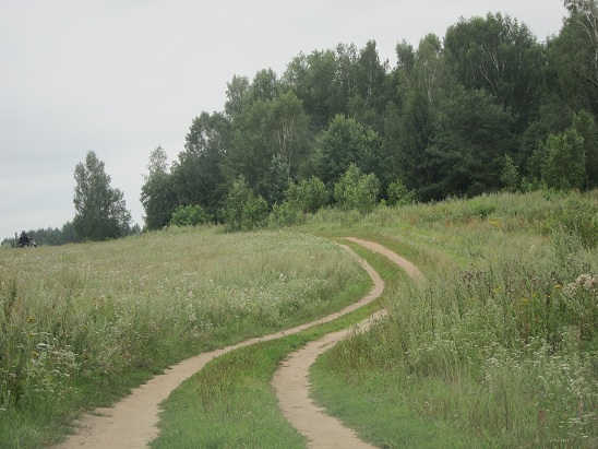 Road to the
              Killing Field