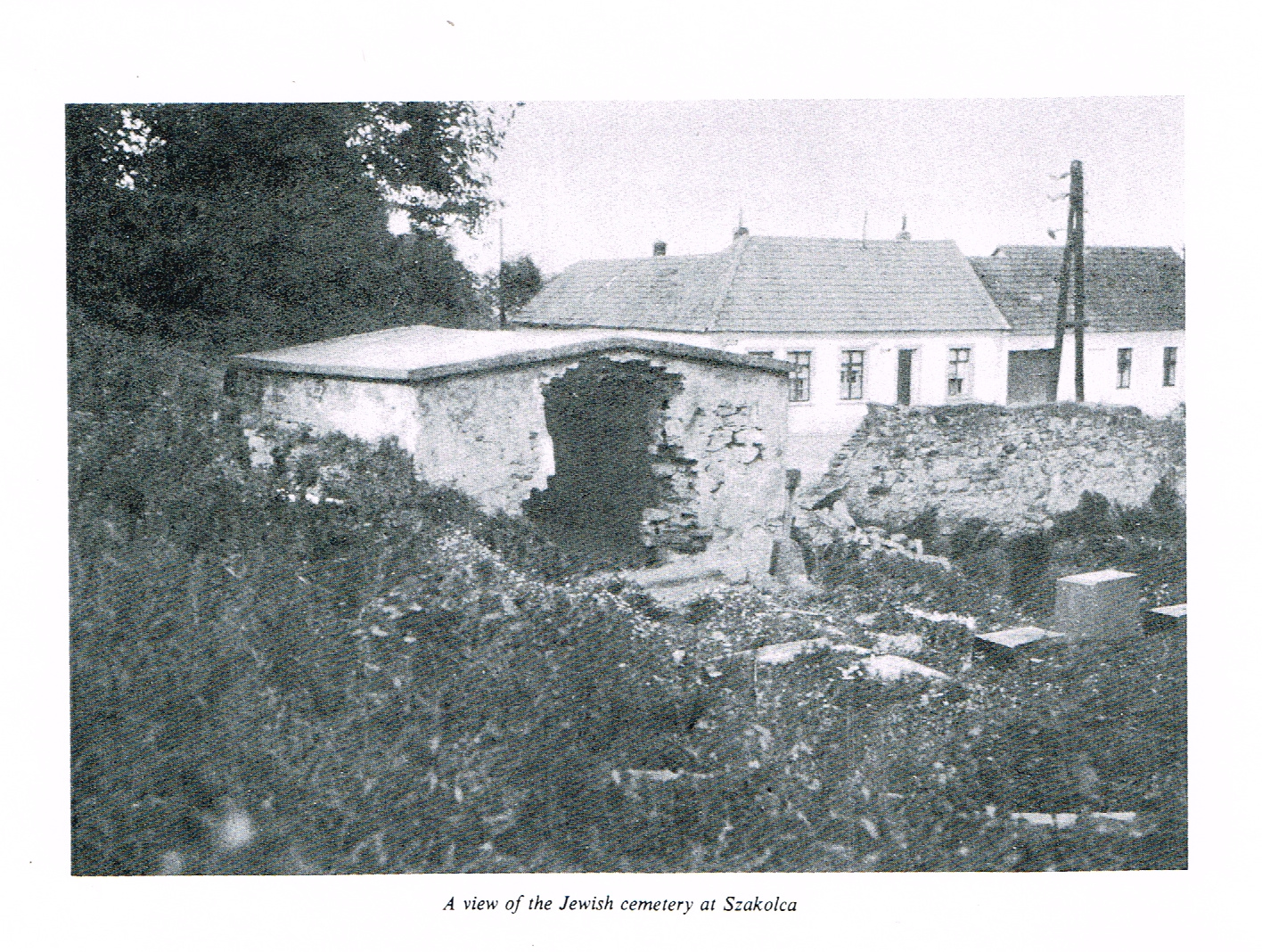 Scheiber3