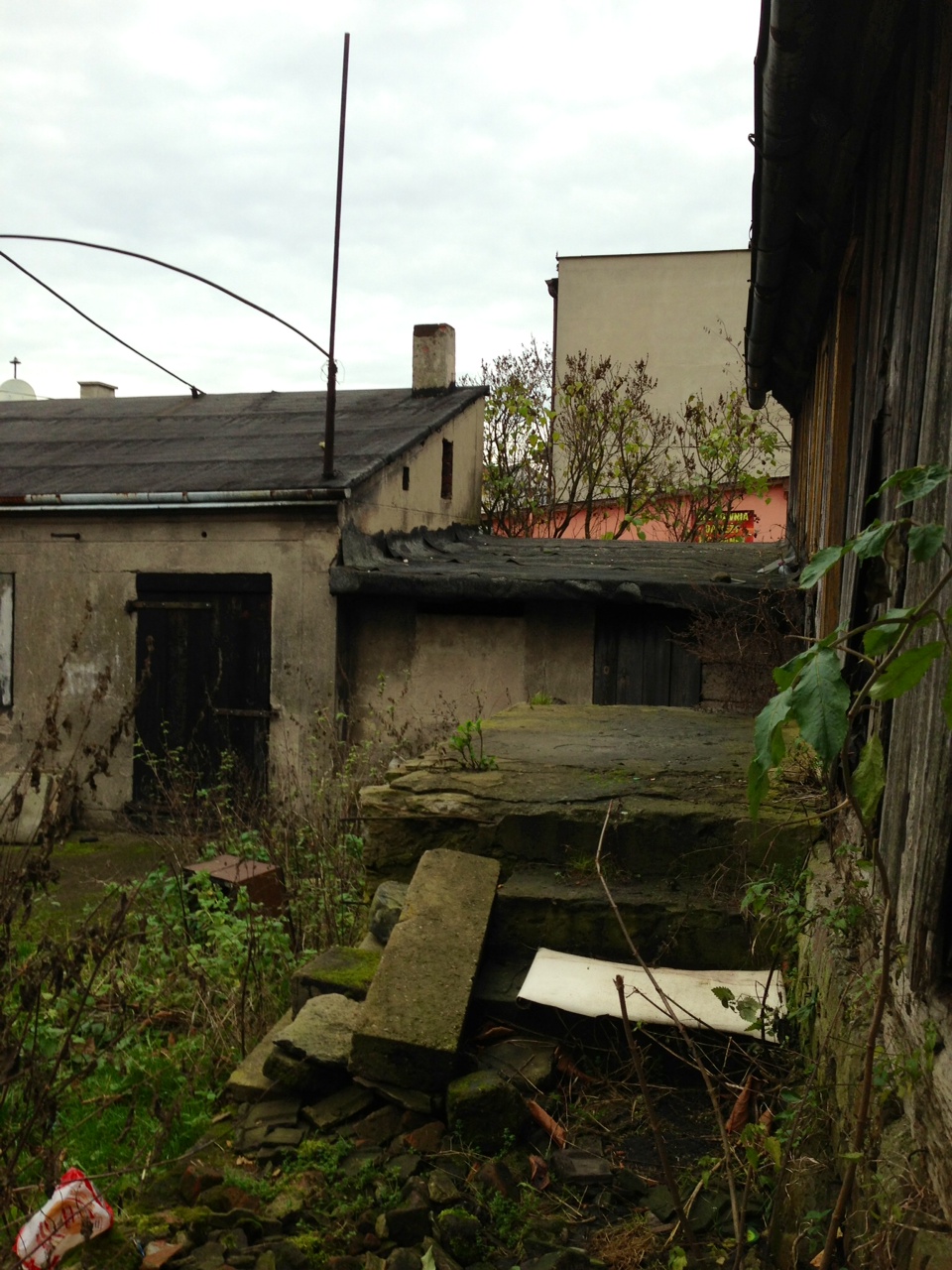 Elyse-house, back