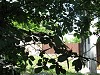 Back of Synagogue