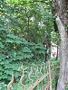 Synagogue fence